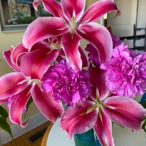 Meet your Posher, Rita